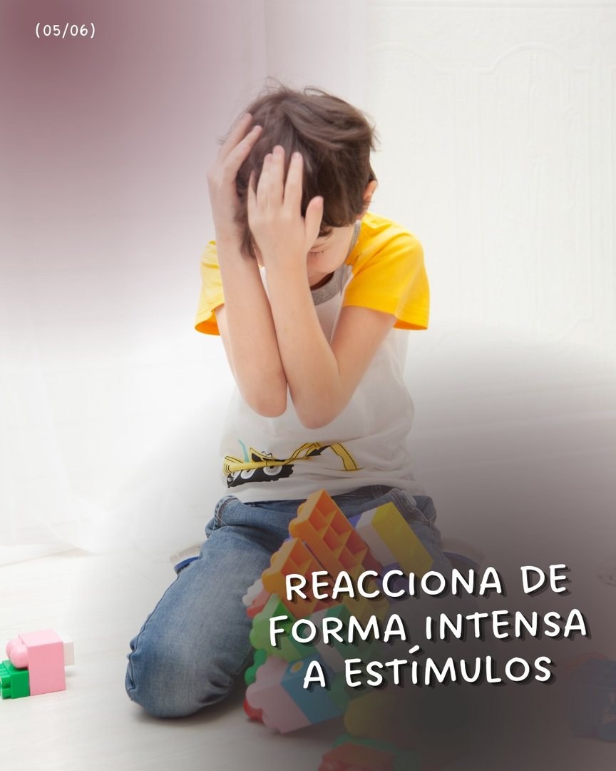 Reaccionan de forma intensa a los estímulos.