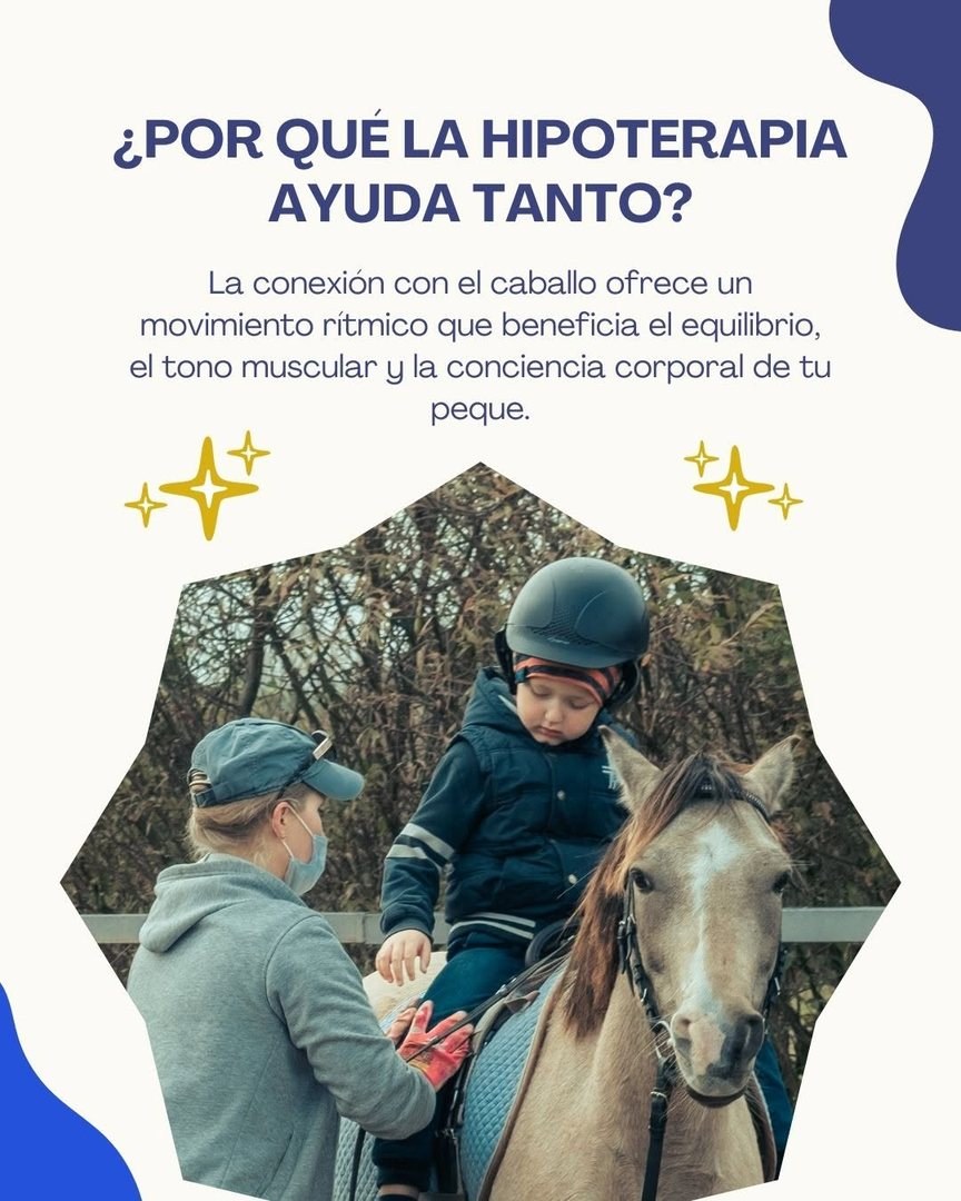 ¿Por qué la hipoterapia ayuda tanto? El movimiento rítmico del caballo beneficia el equilibrio, el tono muscular y la conciencia corporal.