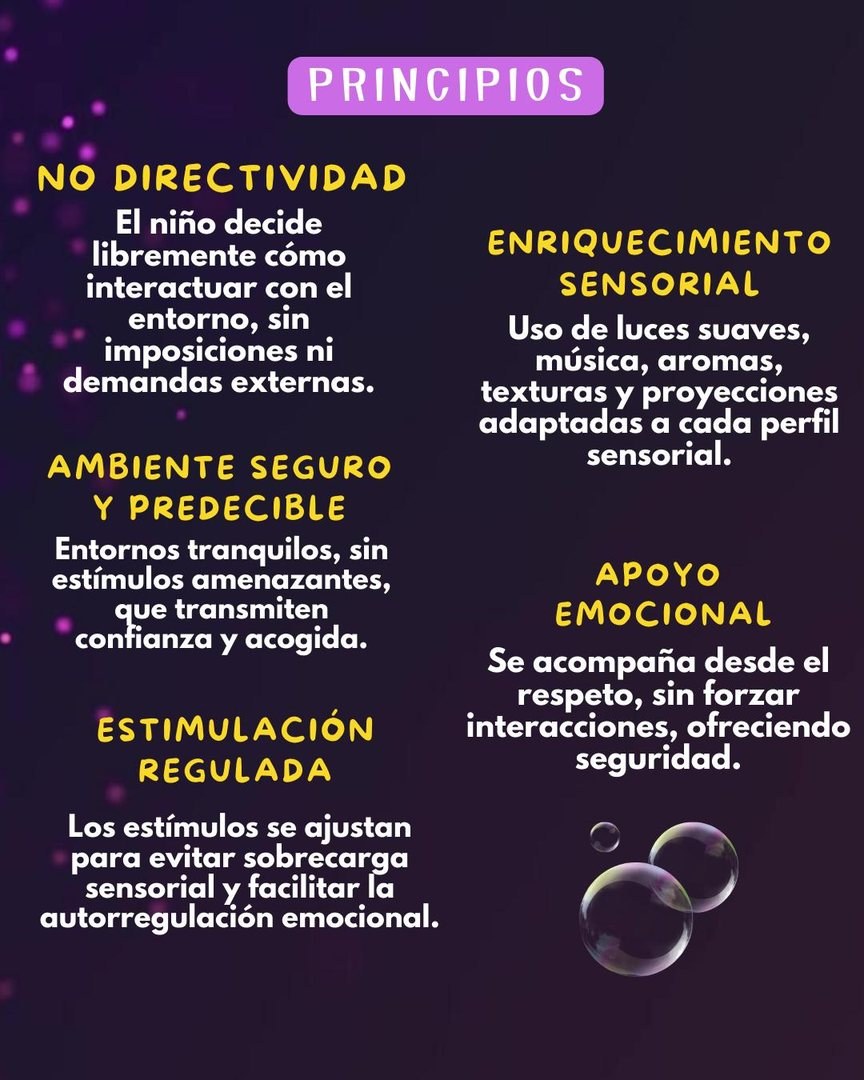 Principios: no directividad, ambiente seguro y predecible, estimulación regulada, enriquecimiento sensorial y apoyo emocional.